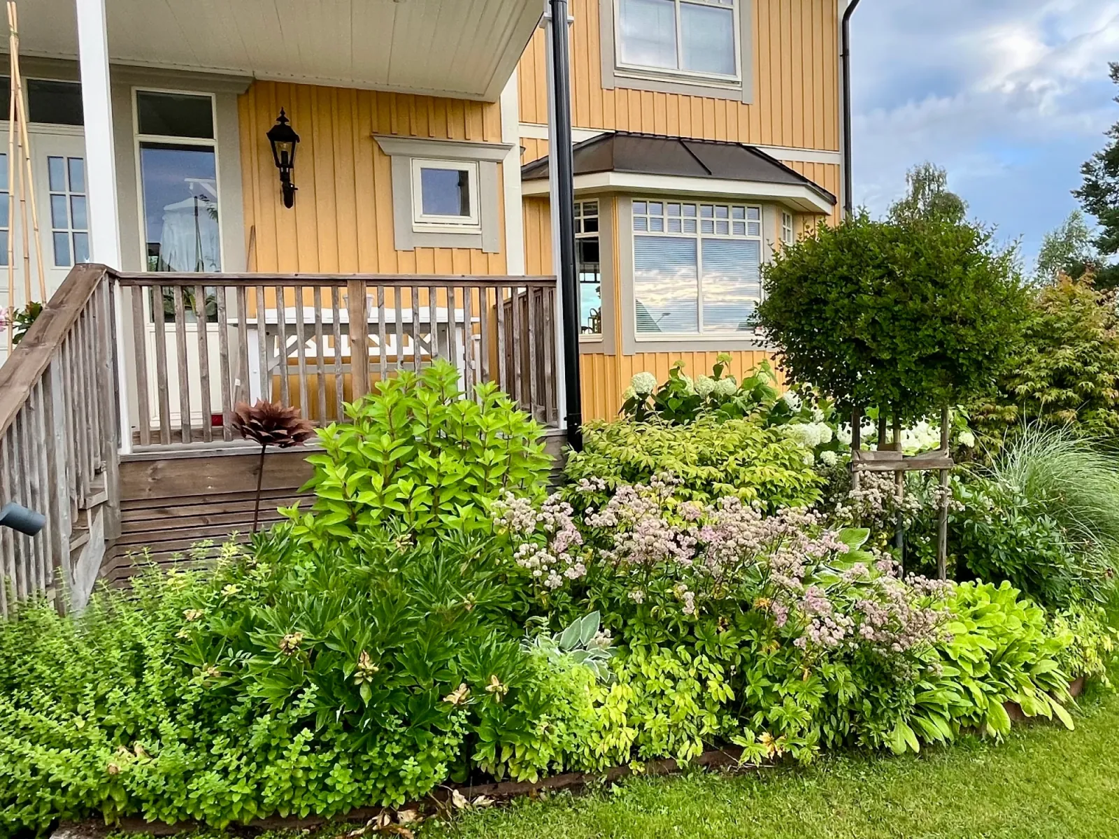 Entrérabatt med blommande perenner, formklippt klot på stam och prydnadsgräs framför gult trähus med veranda