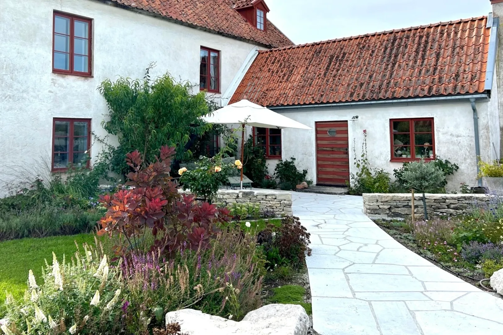 Gotland – kalksten och torktåligt — bild 7