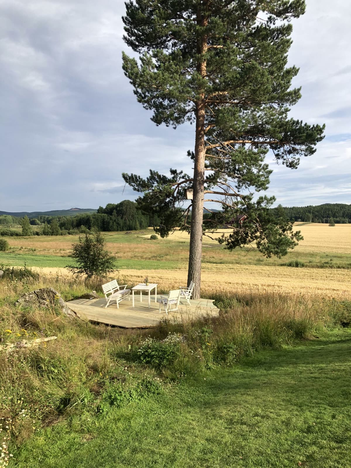 Hälsingland – där åkrarna tar vid — bild 8