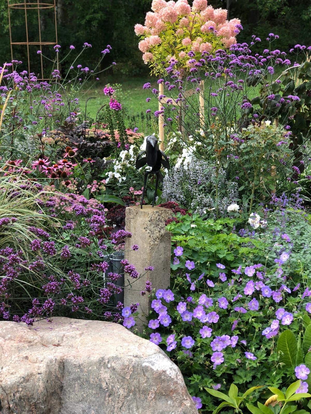 Sensommarrabatt med jätteverbena, trädgårdsnäva och rosa vipphortensia kring en fågelskulptur på pelare av betong