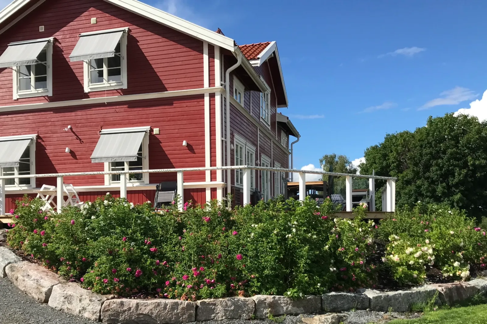 Hälsingland – en slänt av rosor — bild 1