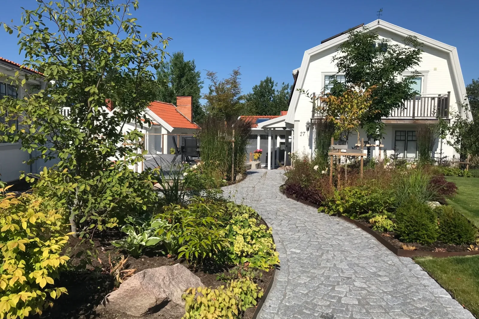 Gång av grå gatsten mellan nyplanterade rabatter med funkia och unga träd framför vitt hus med brutet tak