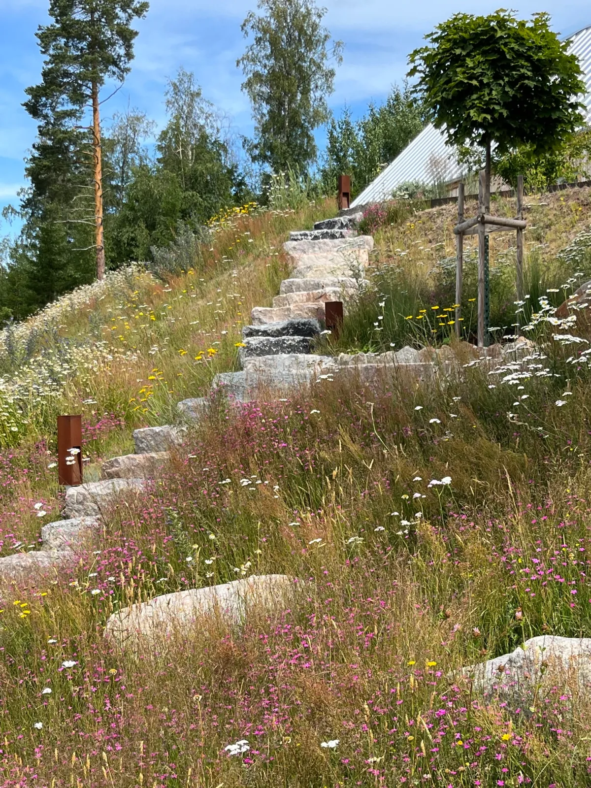 Hälsingland – vid älven — bild 4