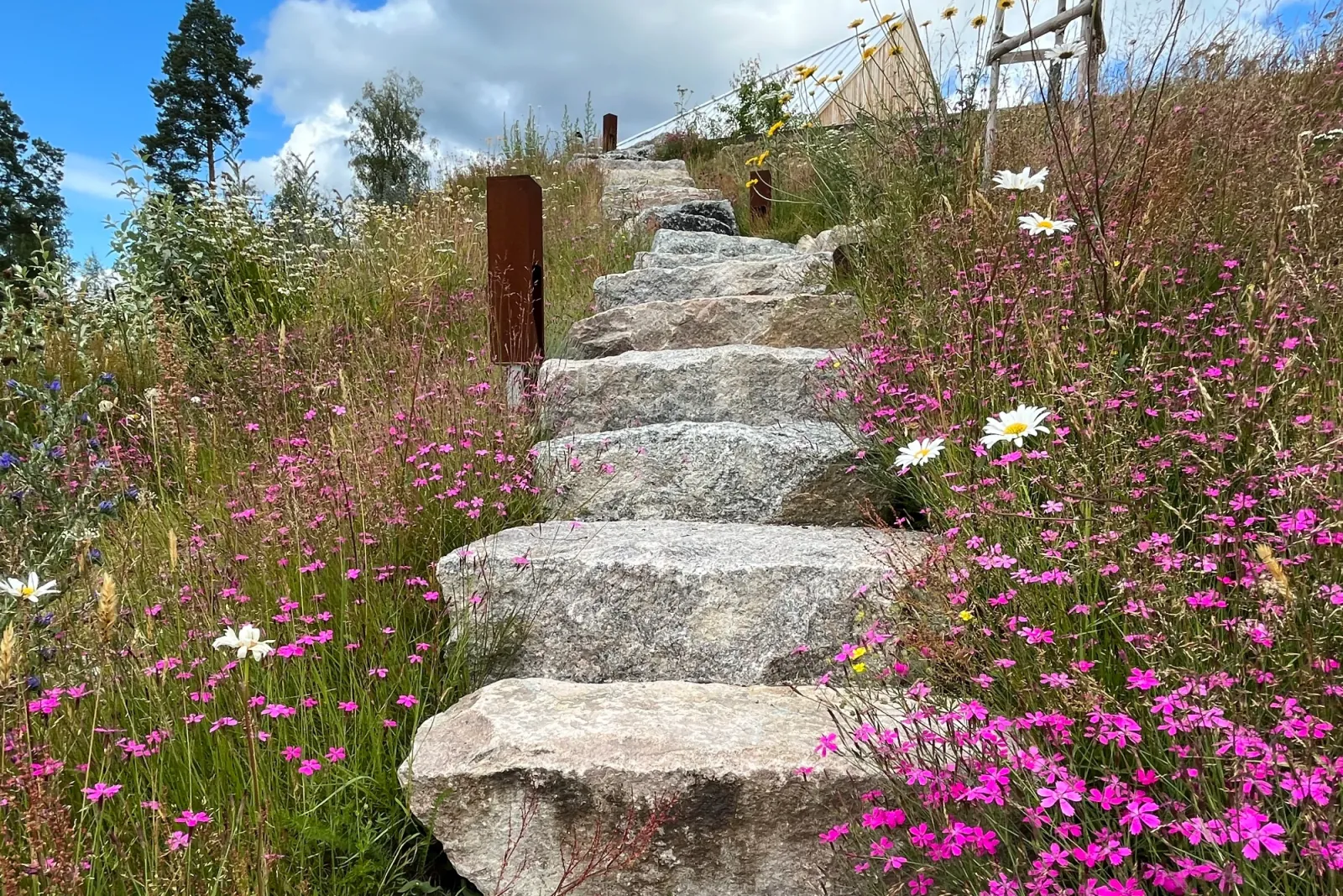 Hälsingland – vid älven — bild 7